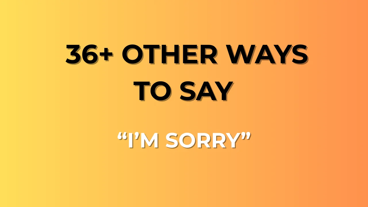 I’m Sorry