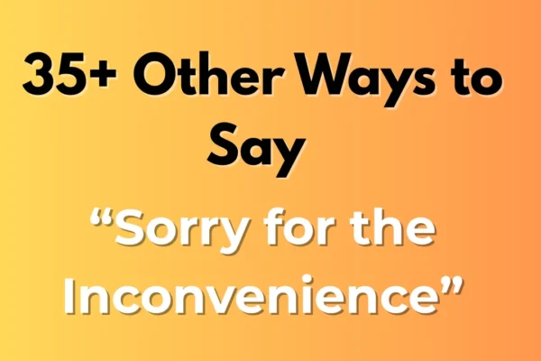 Sorry for the Inconvenience