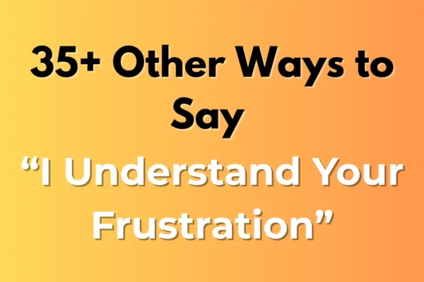 I Understand Your Frustration