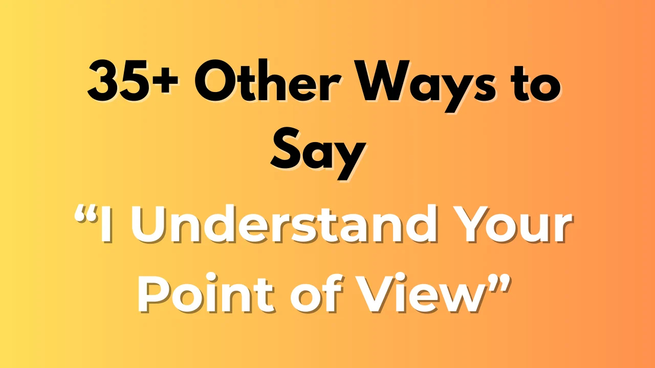 I Understand Your Point of View