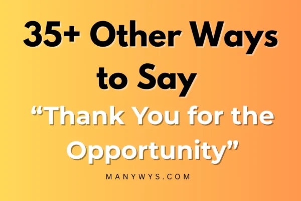 Thank You for the Opportunity