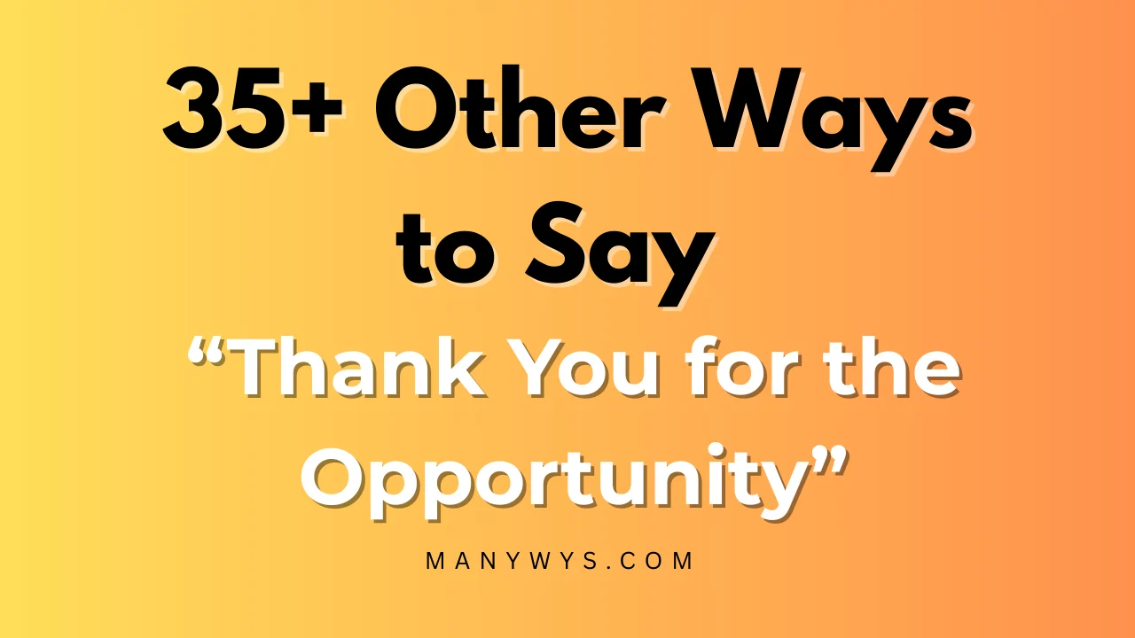 Thank You for the Opportunity