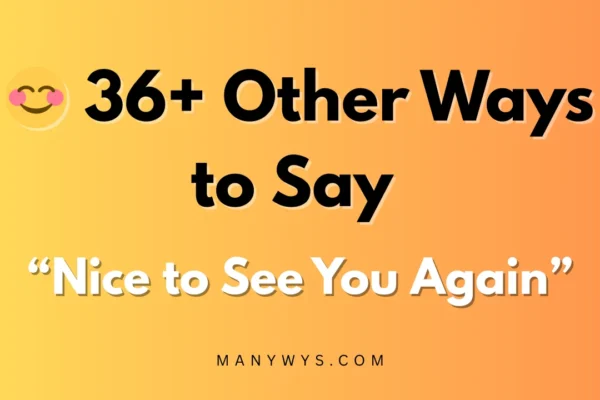 Nice to See You Again