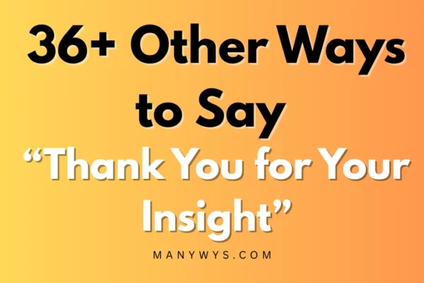 Thank You for Your Insight