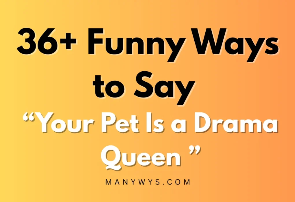 Your Pet Is a Drama Queen