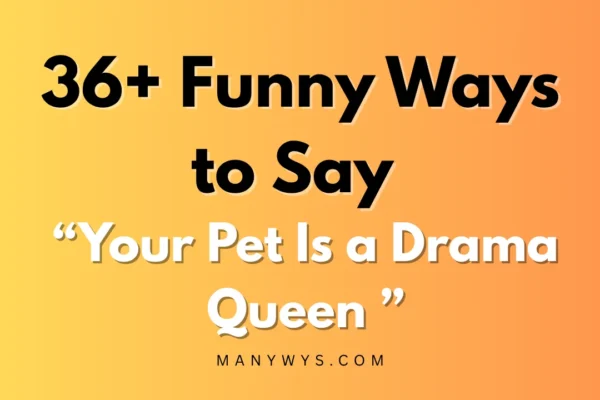 Your Pet Is a Drama Queen