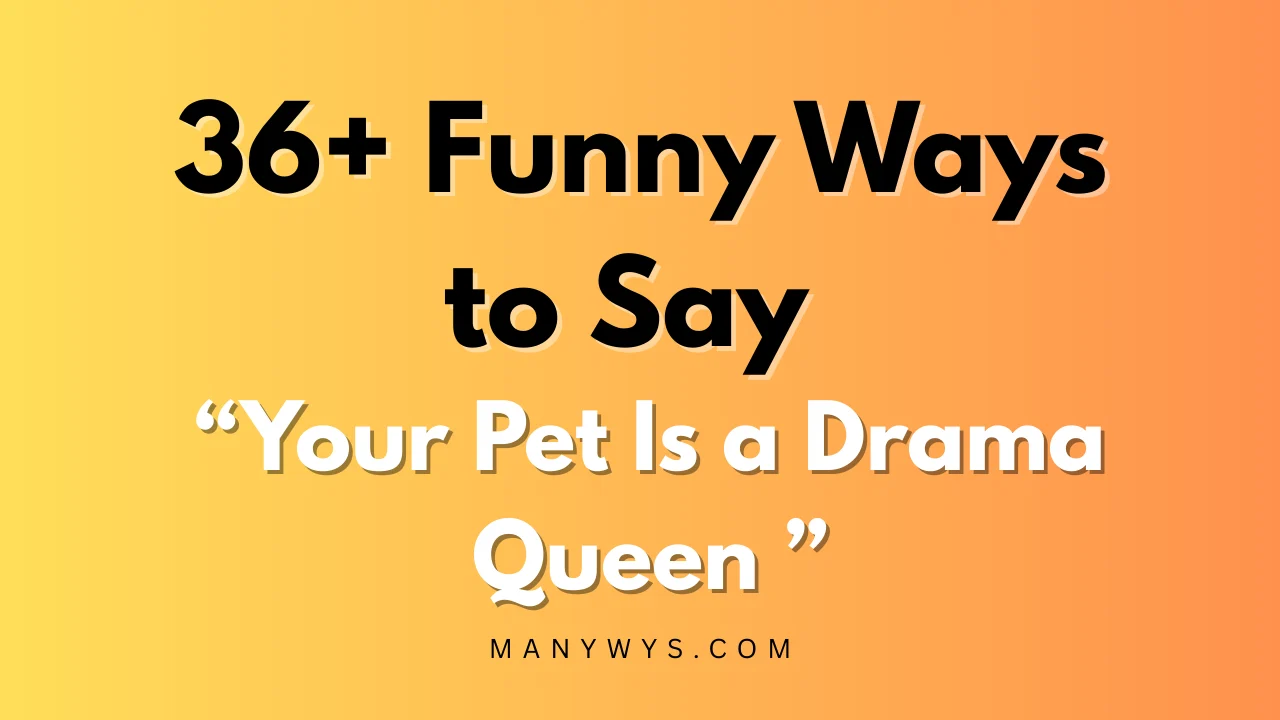 Your Pet Is a Drama Queen
