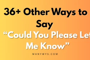 Could You Please Let Me Know