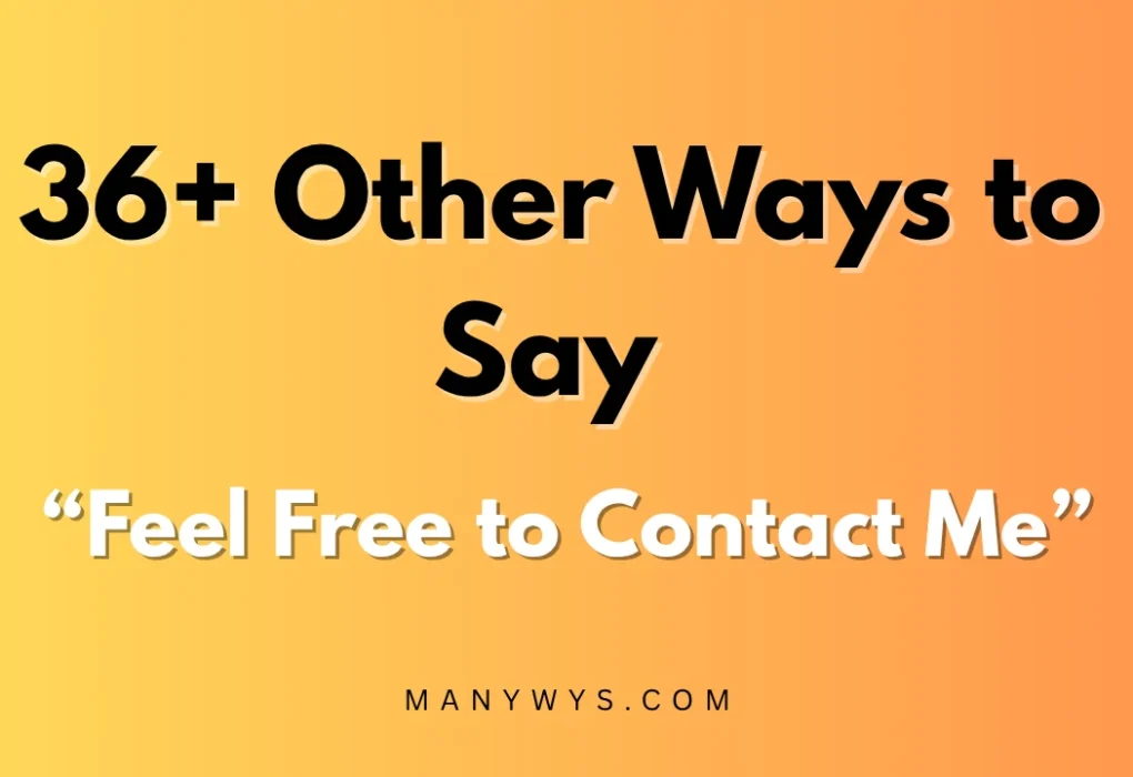 Feel Free to Contact Me