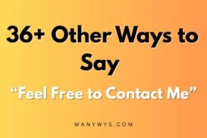 Feel Free to Contact Me