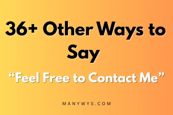 Feel Free to Contact Me