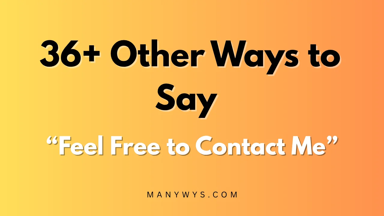 Feel Free to Contact Me