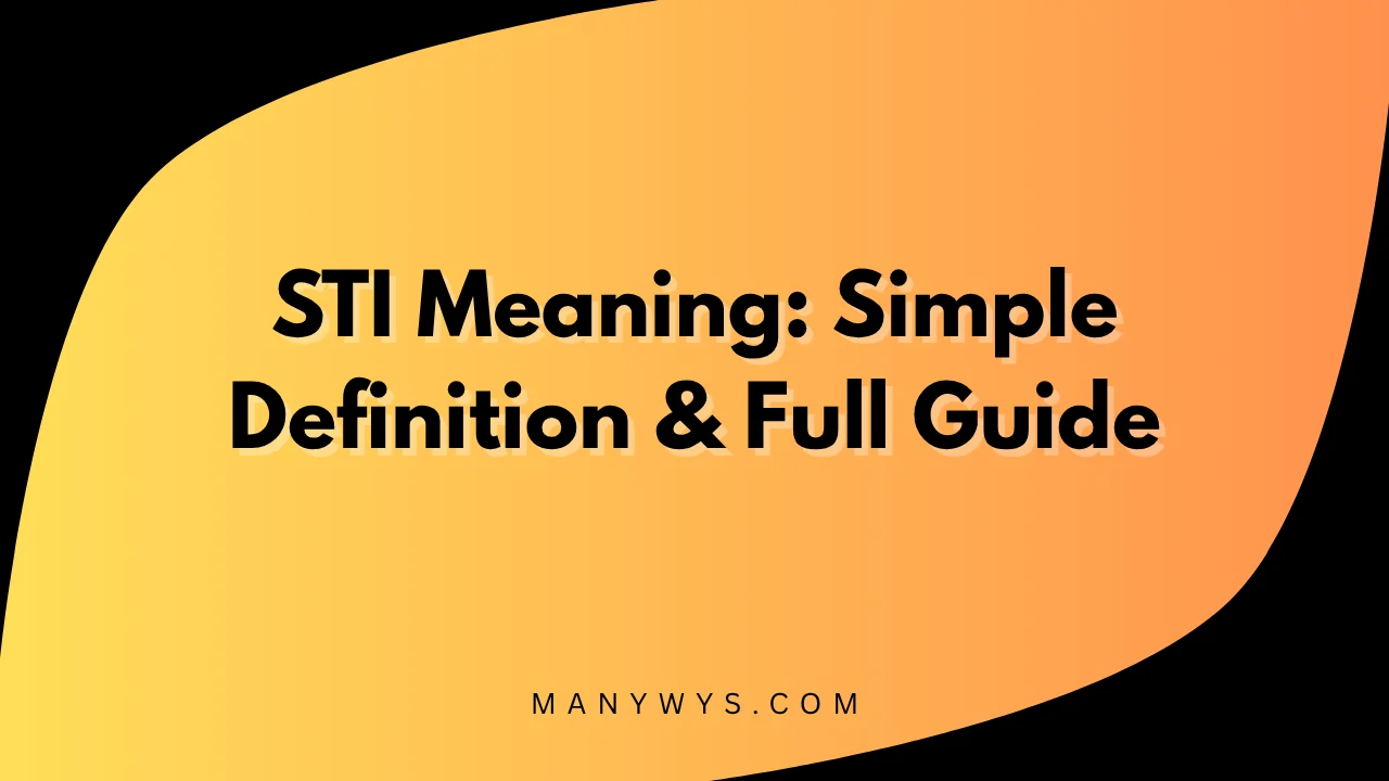 STI Meaning