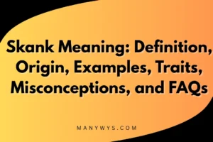 Skank Meaning