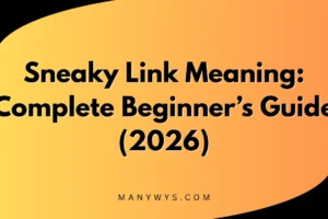 Sneaky Link Meaning