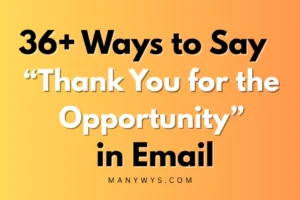 Thank You for the Opportunity