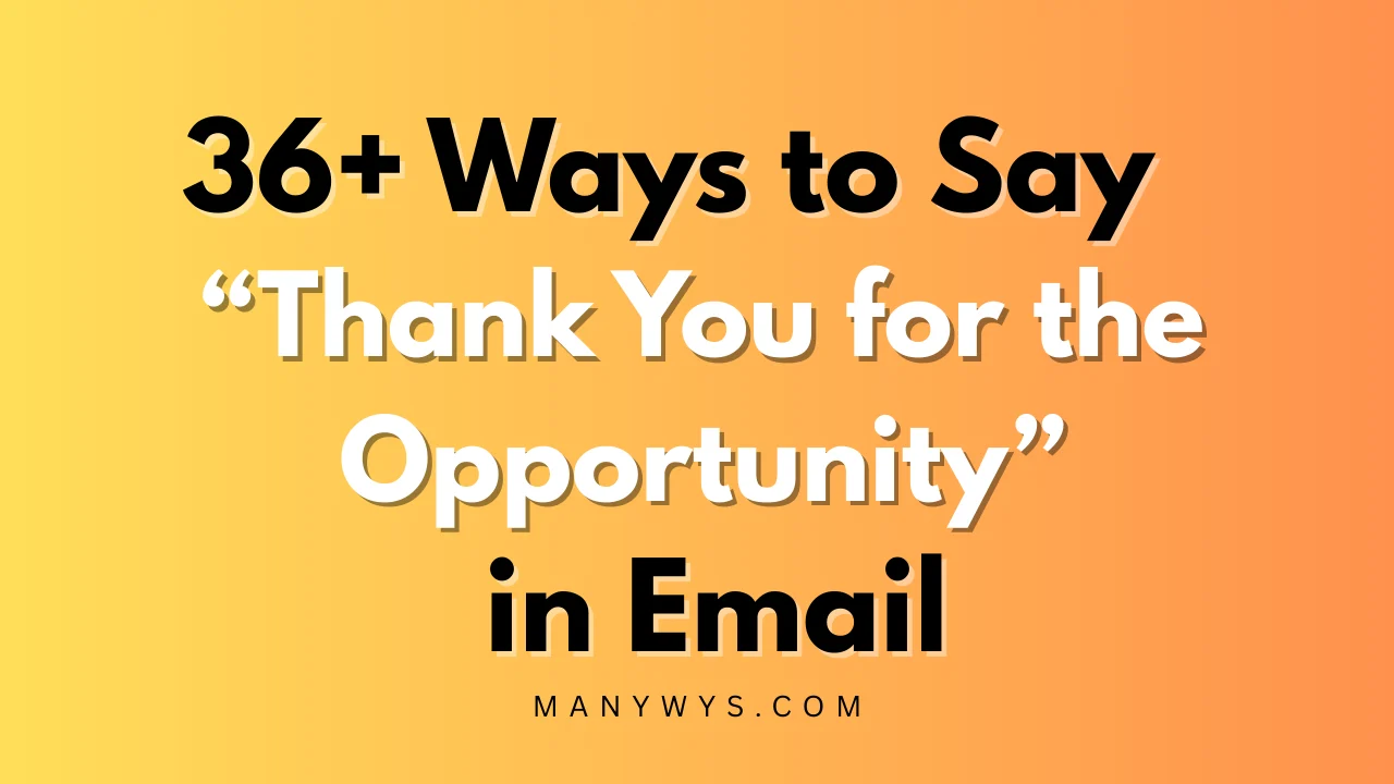 Thank You for the Opportunity