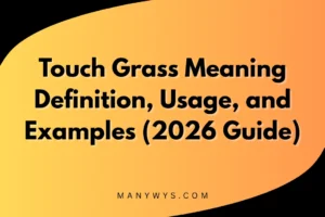 Touch Grass Meaning