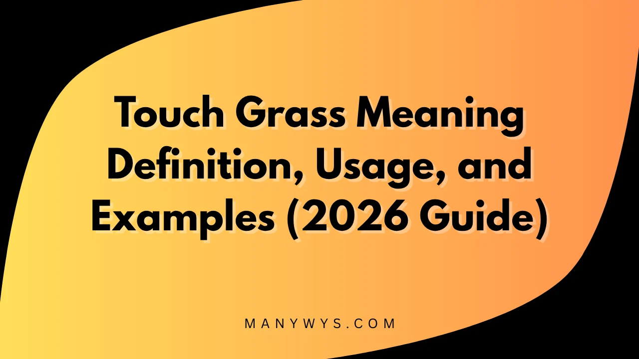 Touch Grass Meaning