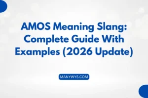 AMOS Meaning Slang