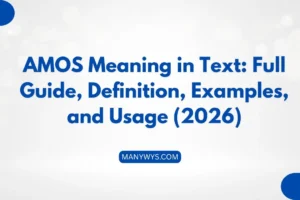 AMOS Meaning in Text