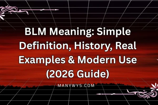 BLM Meaning