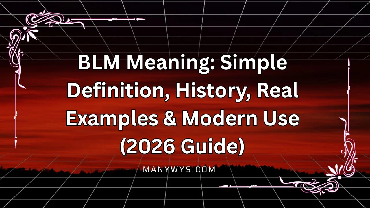 BLM Meaning