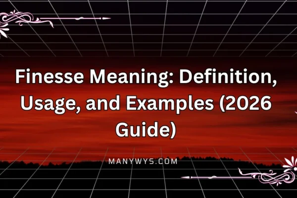 Finesse Meaning