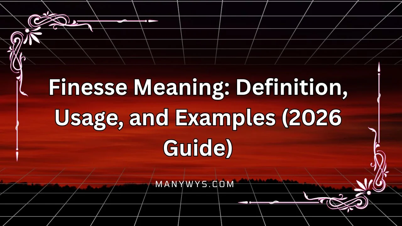 Finesse Meaning