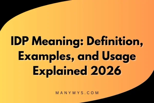 IDP Meaning