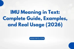 IMU Meaning in Text