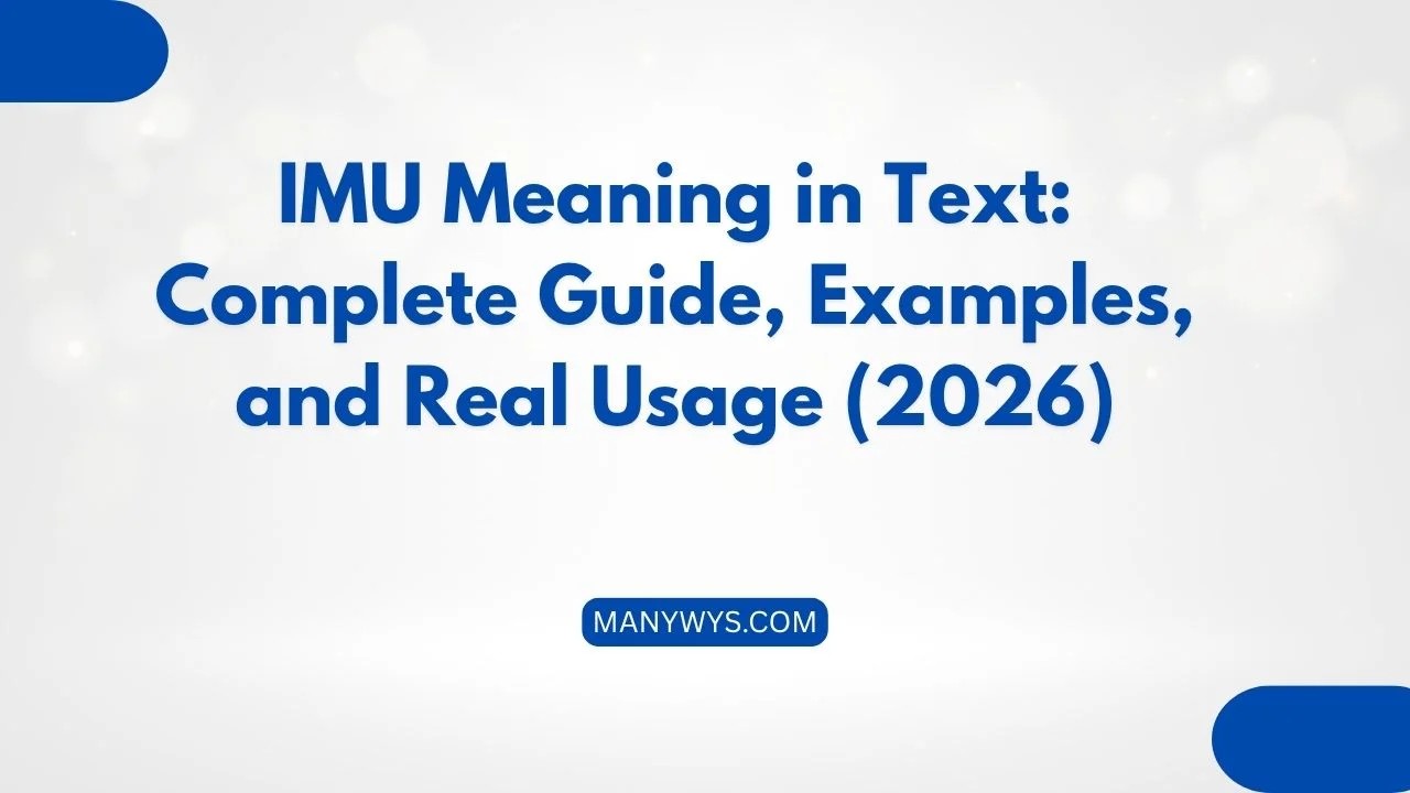 IMU Meaning in Text