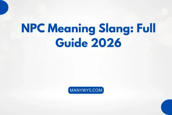 NPC Meaning Slang
