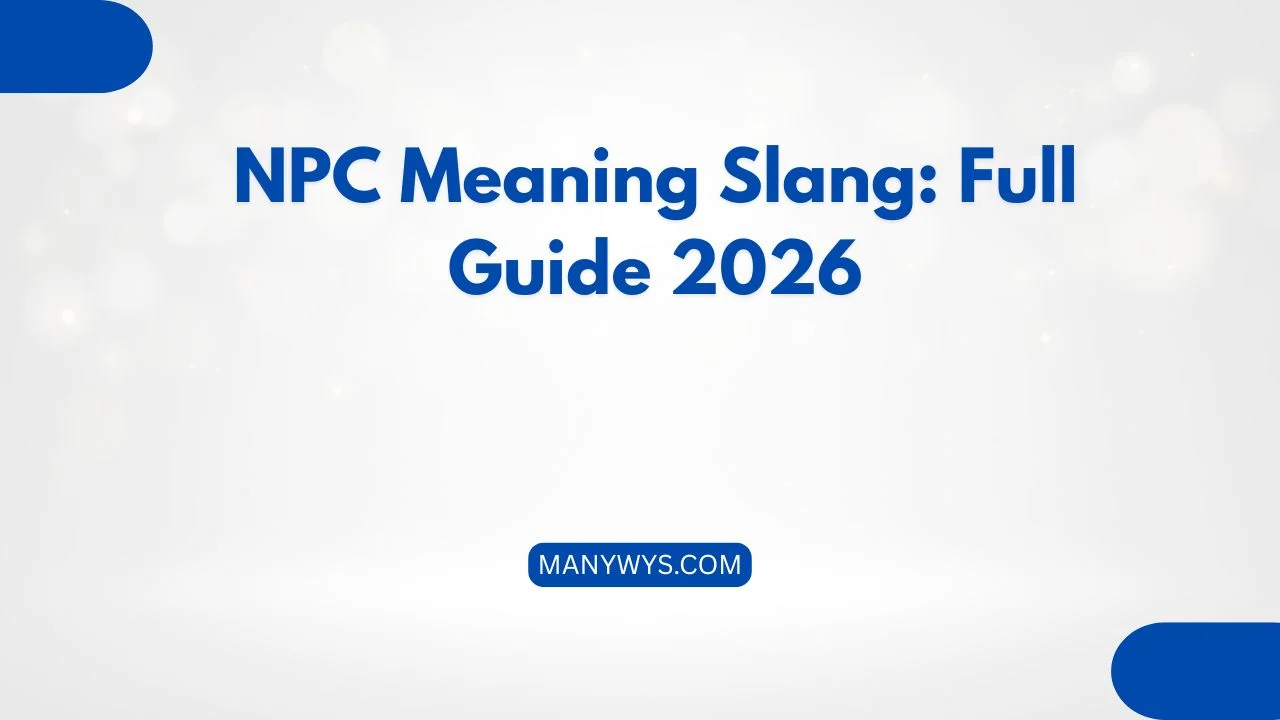 NPC Meaning Slang