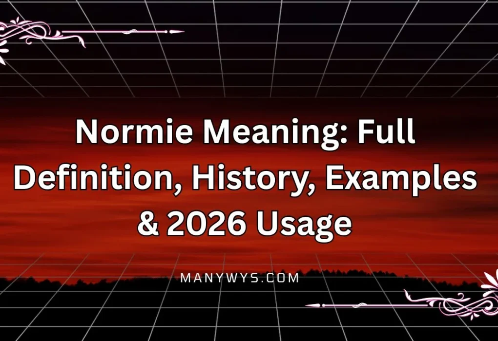Normie Meaning