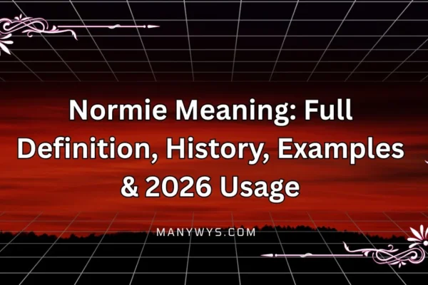 Normie Meaning