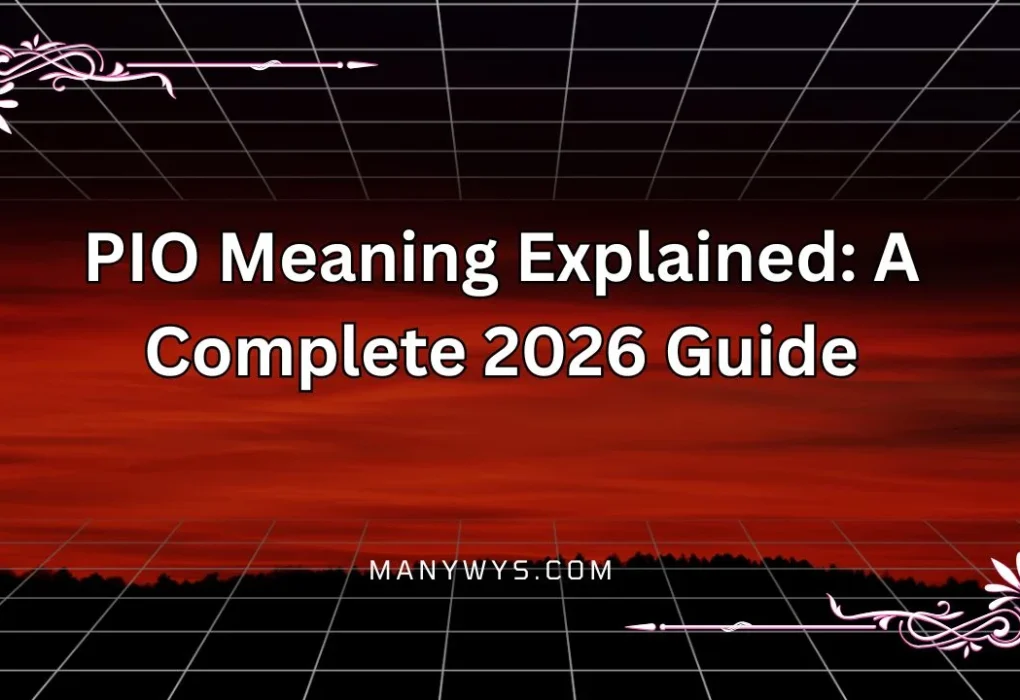 PIO Meaning Explained