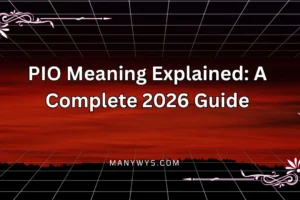 PIO Meaning Explained