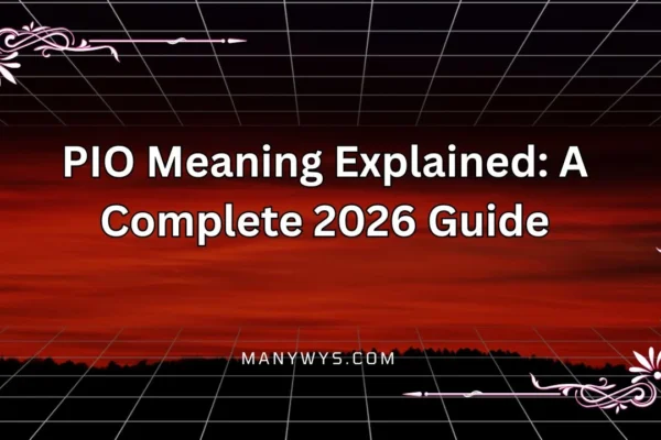 PIO Meaning Explained
