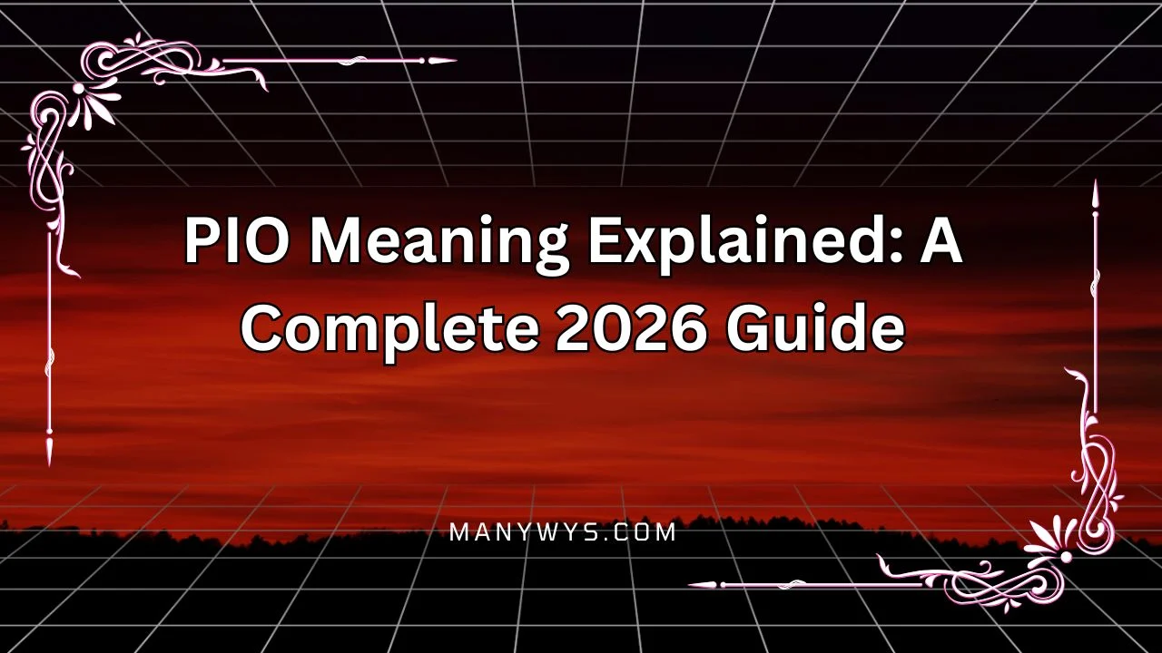 PIO Meaning Explained