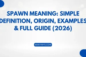Spawn Meaning