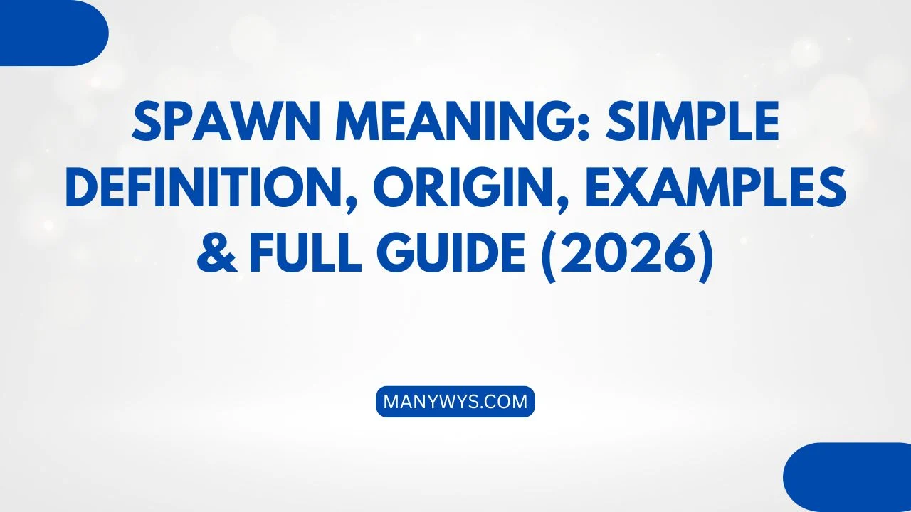 Spawn Meaning