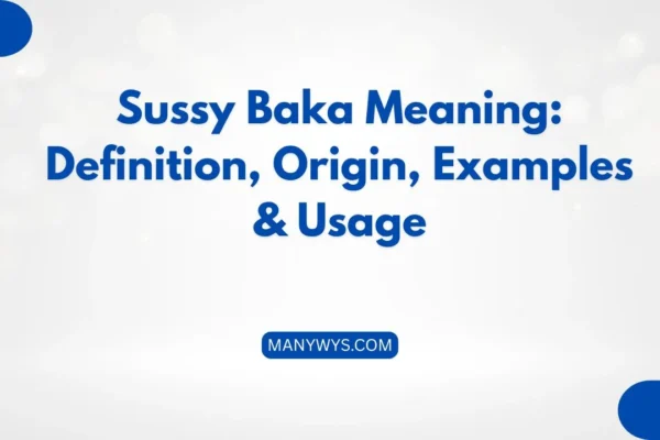 Sussy Baka Meaning