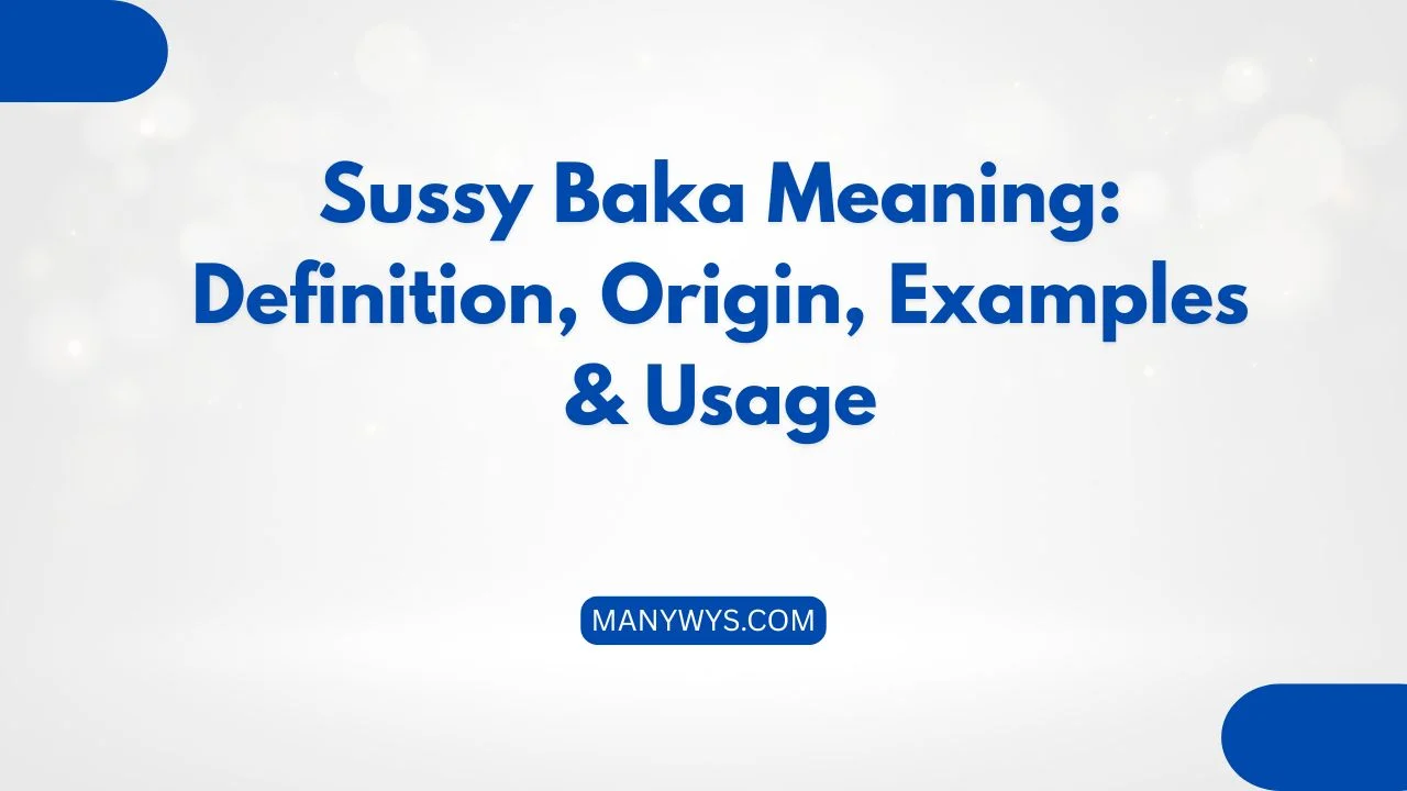 Sussy Baka Meaning