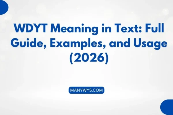 WDYT Meaning in Text