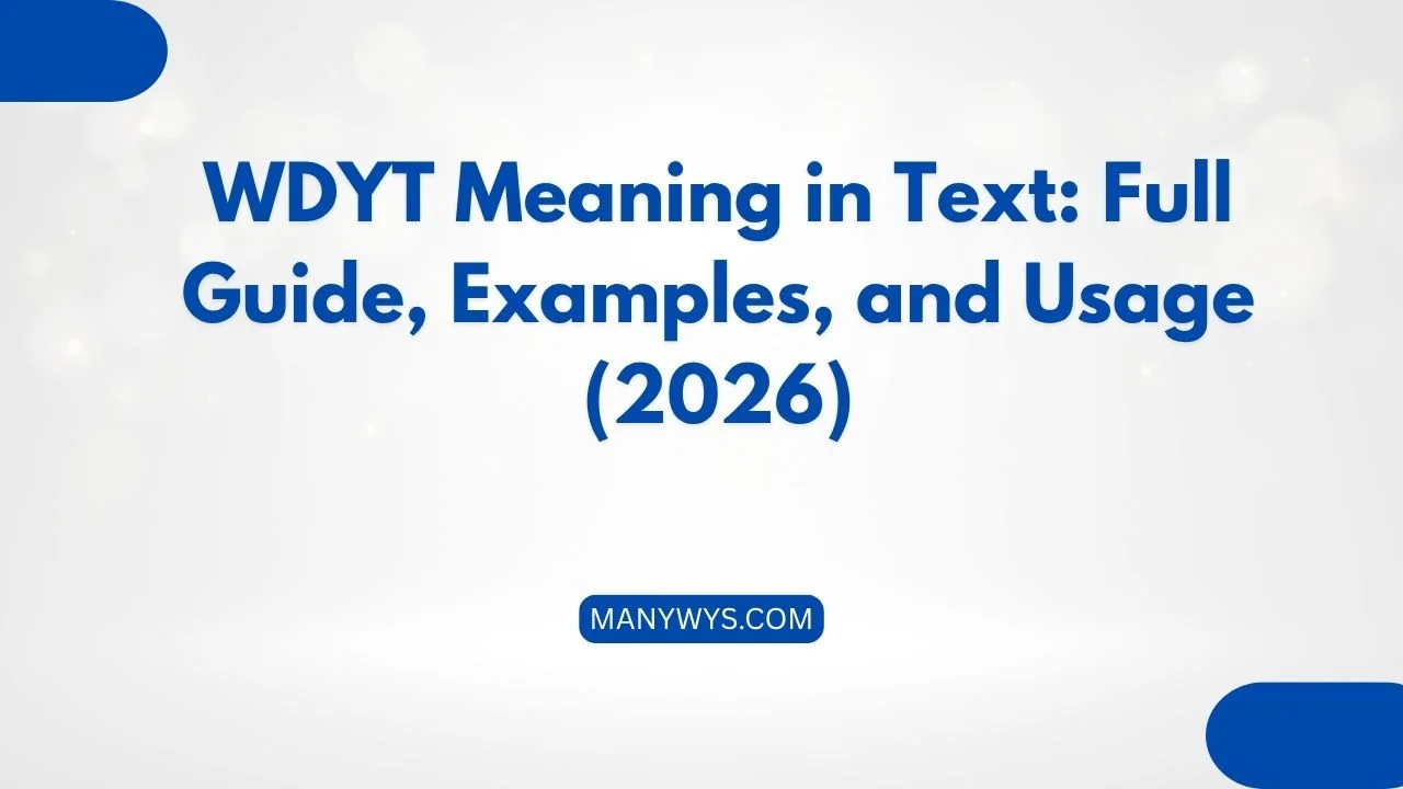 WDYT Meaning in Text
