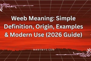 Weeb Meaning