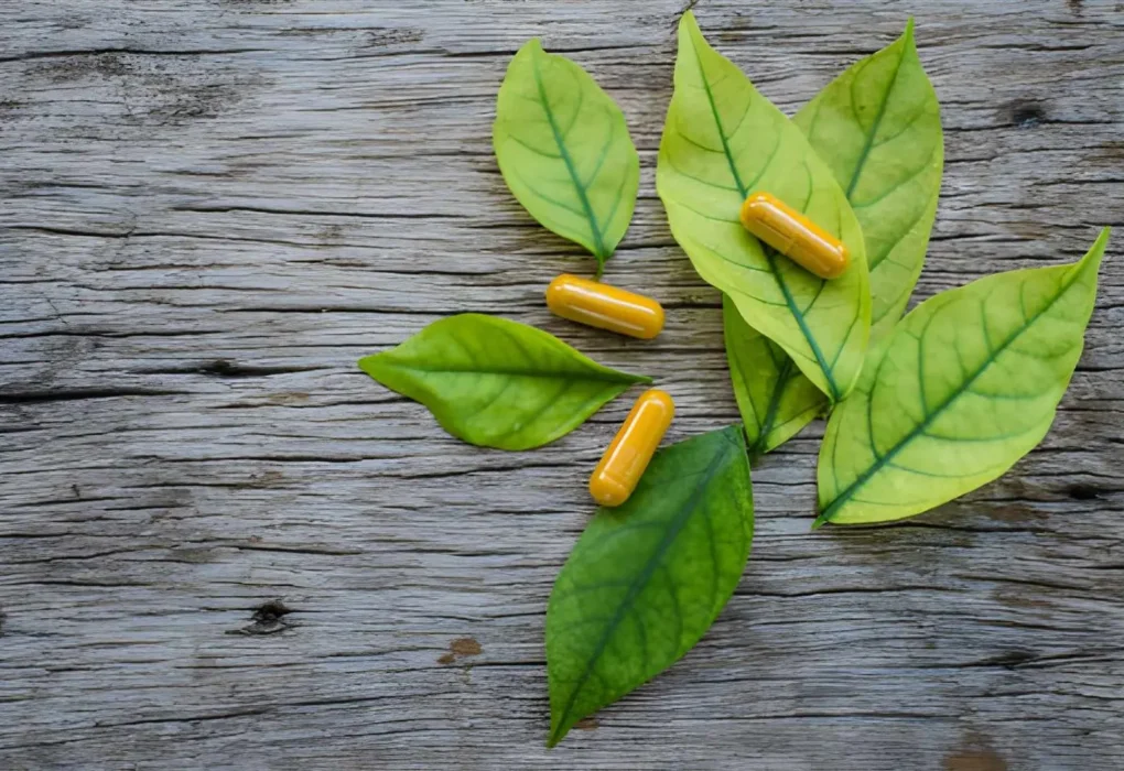 Why Capsules Became the Default Format for Botanical Supplements