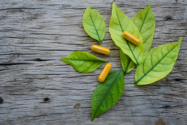 Why Capsules Became the Default Format for Botanical Supplements