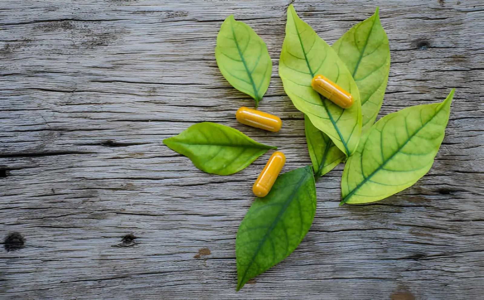 Why Capsules Became the Default Format for Botanical Supplements